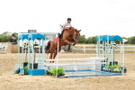 SBM_019081