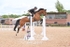 BPP_8532