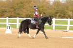 SBM_000613