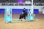 SBM_000404