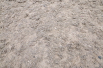 SBM_013058