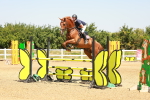 SBM_001254