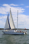 190729 TALL SHIPS CAT 1Y3A6225
