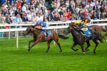 080925-Race 4-Zain Blue-7618