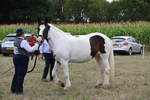 WJ6_5554