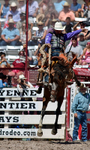 Brody Cress 85 Score_2711