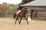 SBM_001762