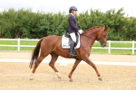 Class 5 - Novice 4 portfolio