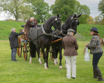 Attelage -1027