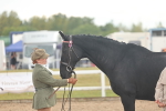 SBM_07905