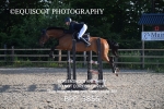 BPP_3856