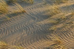 Dune Detail