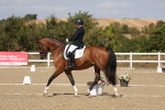 SBM_022451