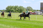 300526-Race 3-Mr Writer-0428