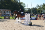 SBM_36199