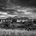 Craigmore Viaduct & the Steam Train