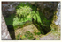 St.Clether's Well water
