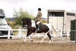 SBM_00600