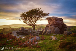 Dartmoor Delight