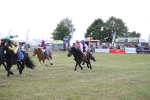 SBM_09959