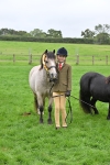S42 - Junior Handler 9-12 Years portfolio