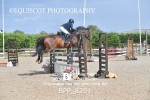 BPP_8291