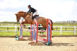 SBM_003446