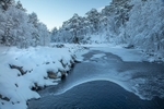 Glen Affric 4