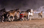 3HRodeo7-12-24_LJD_3HR5318_LJD