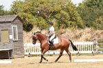 SBM_002978