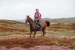 SPXX2719