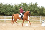 SBM_007658