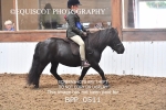 BPP_0511