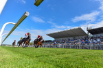 040526-Race 5-Copper Knight-7539
