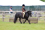 SBM_09446