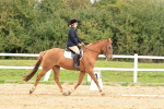 SBM_001605