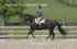 BPP_6404