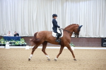 SBM_010168
