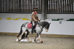 WJ5_9462