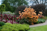 Dabton Gardens portfolio