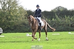 591-Zennor.Harvey-GOODFELLA.GIO portfolio