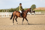 SBM_06153
