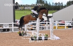 BPP_4977