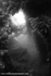 USW012: Endeavour BW