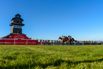 230426-Race 8-Barbury Boy-1351