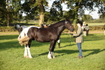 SBM_58760