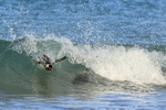 Gentoo surfing breaking wave front, Sea Lion Island, Falklands