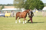 SBM_10352