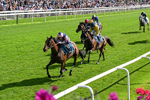 060926-Race 3-Moon Chime-0210