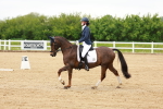 SBM_005003